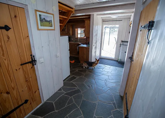 فيلة Joeveere Majutus *