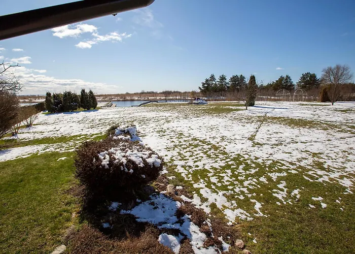 Joeveere Majutus فيلة *