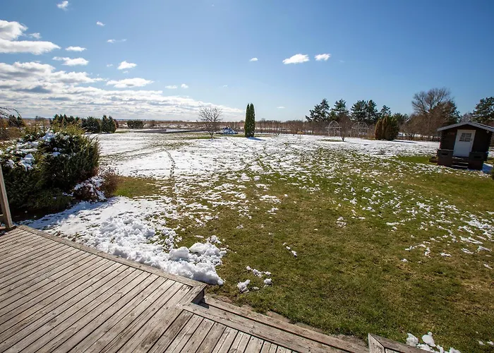 Joeveere Majutus فيلة *