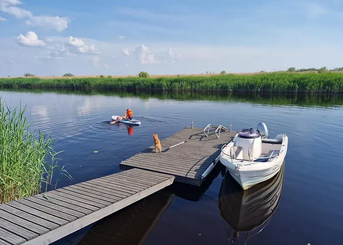 Joeveere Majutus فيلة